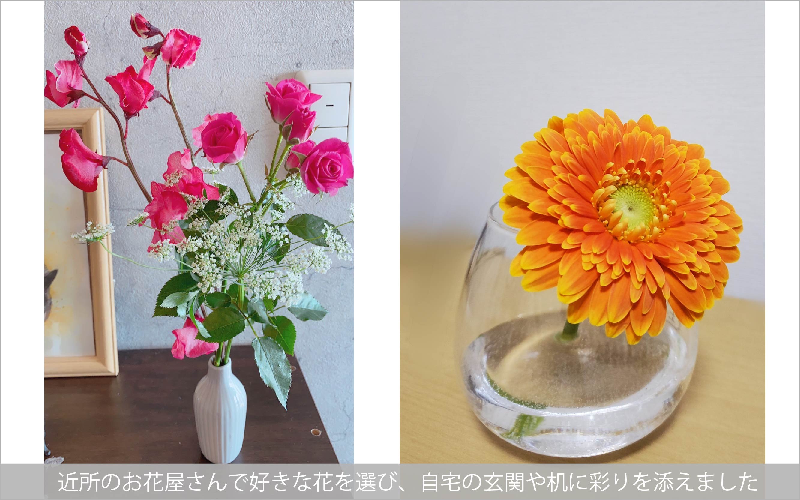 農林水産省 花いっぱいプロジェクト に賛同します 株式会社クヌギ